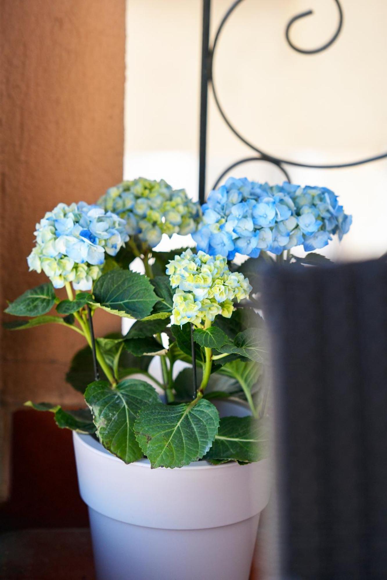 Our Happy Place Maisonette Kavala Bagian luar foto